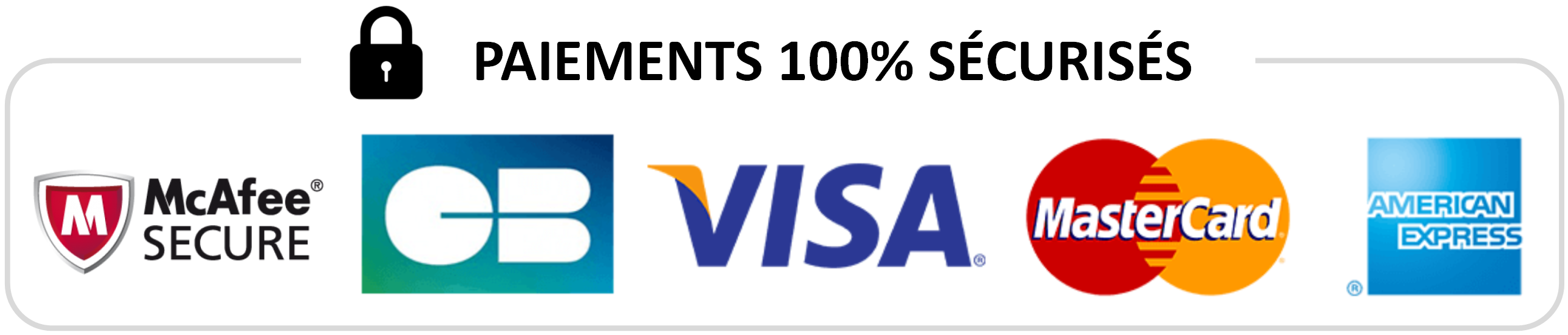 Logo Paiements Sécurisés Carte Bancaire Visa Mastercard American Express