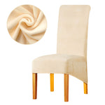 Housse de chaise xl grande taille velours beige extensible
